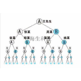 会员管理软件公排系统定制开发