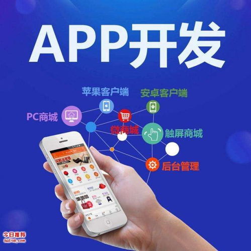 乐步运动系统开发 乐步运动app开发