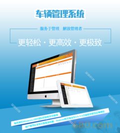 车辆管理系统 二次升级开发定制软件