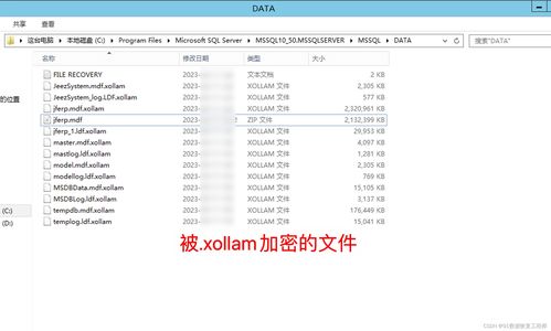 xollam勒索病毒数据恢复 金蝶 用友 管家婆 oa 速达 erp等软件数据库恢复